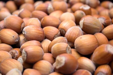 Many peeled hazel nuts - background and texture of natureの写真素材