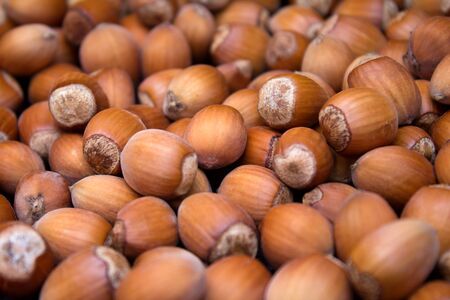 Many peeled hazel nuts - background and texture of natureの写真素材