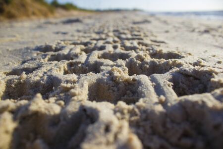 Footprint in the sand from a car tire or quadro cycle at sunrise on a background of blue sky and sea, horizon beach dawnの写真素材