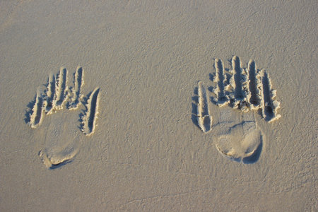 Traces of human hands on sand sunrise background sea, beach dawn