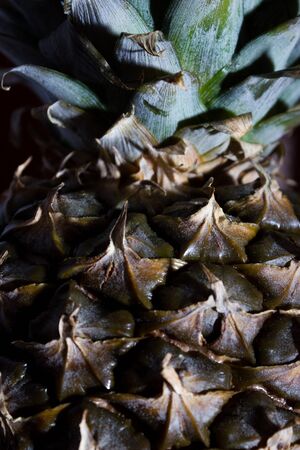 Pineapple texture - close up backgroundの写真素材