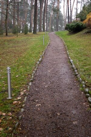Beautiful path in the park with lanterns - between the pinesの写真素材