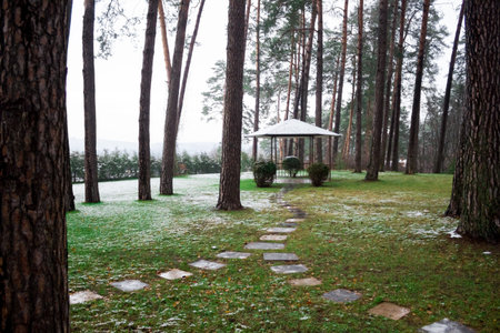 Beautiful path in the park with a gazebo - between the pines