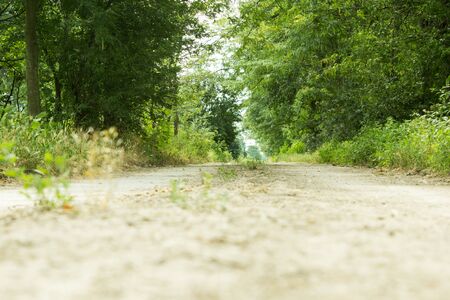 Dirt road with prospect into the distance through the treesの写真素材