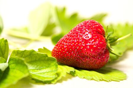 Red and ripe strawberry in the leaves on a white background - Isolateの写真素材