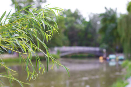 Beautiful bridge on the river - spring photo, blurの写真素材