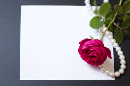 Beautiful red rose with pearls and a clean white sheet of paper on a black background - a letter, postcardの写真素材