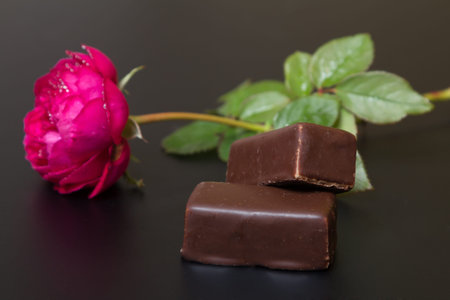 Beautiful red rose with dew drops close to the chocolate candy - on a black background