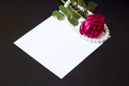Beautiful red rose with pearls and a clean white sheet of paper on a black background - a letter, postcardの写真素材