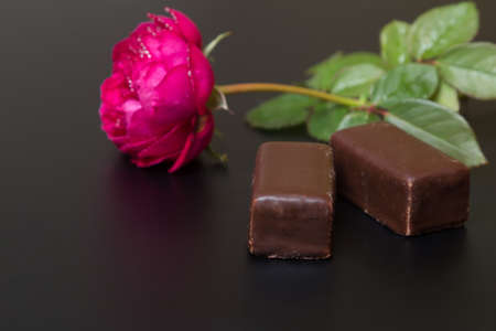 Beautiful red rose with dew drops close to the chocolate candy - on a black backgroundの写真素材