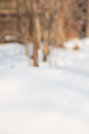 Snow winter background - textureの写真素材