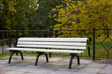Bench in a beautiful park in autumn - background, leaves and treesの写真素材