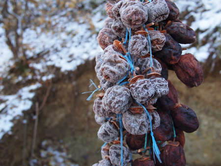 Dried date-plum, Caucasian persimmon, or lilac persimmon (Diospyros lotus) in Georgian villageの写真素材