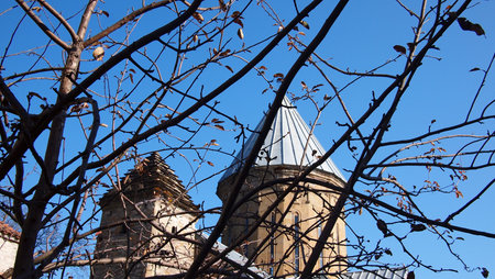 Tree branches on the background of a Christian monastery