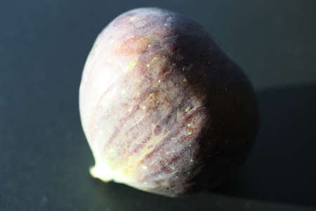 Close-up of a ripe fig (Ficus carica) fruit on a dark backgroundの写真素材