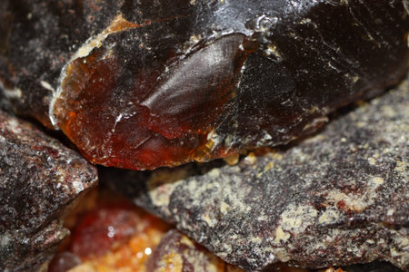 Extreme macro of an amber in the form of abstraction on a blurred backgroundの写真素材