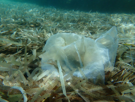 Plastic garbage underwater, Aegean Sea, Greece, Halkidiki. Sea pollution.