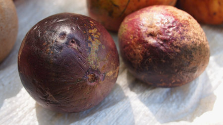 Ripe passion fruit (Passiflora edulis) close-up on a blurred background, Cuba
