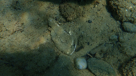 Aluminum trash underwater, Aegean Sea, Greece, Halkidiki. Sea pollution.の写真素材