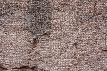 Fragment of the old facade of a house made of travertine, Hungary, Budapestの写真素材