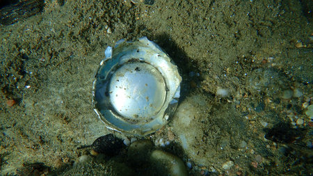 Part of a discarded aluminum can on the seabed, Aegean Sea, Greece, Halkidiki. Sea pollution.