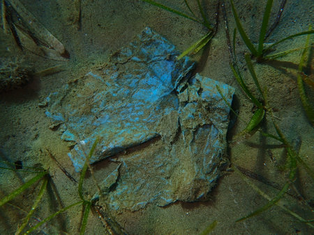 Plastic garbage underwater, Aegean Sea, Greece, Skiathos island, Vasilias beachの写真素材