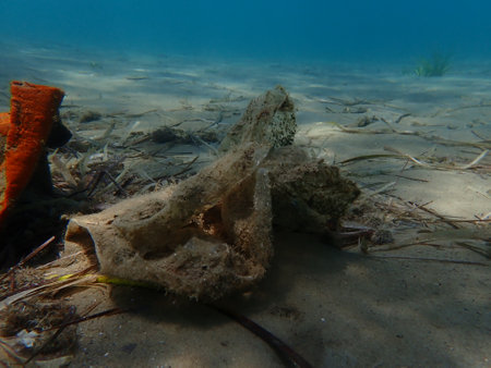 Plastic garbage underwater, Aegean Sea, Greece, Skiathos island, Vasilias beachの写真素材