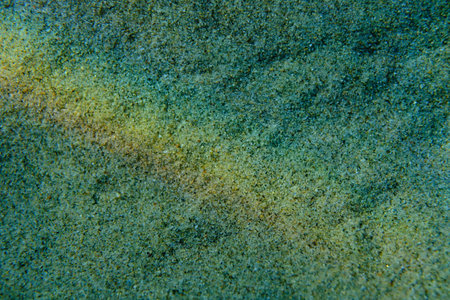 Sandy seabed with sun glare reflecting on the sand, soft focus, Aegean Sea, Greece, Halkidiki, Pirgos beachの写真素材