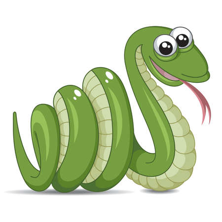 Snake on a white background のイラスト素材