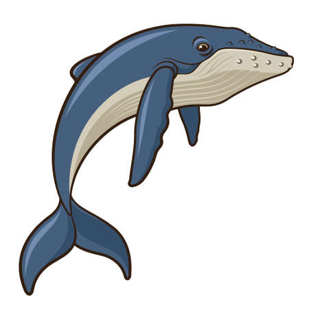 Illustration of a whale isolated on a white のイラスト素材