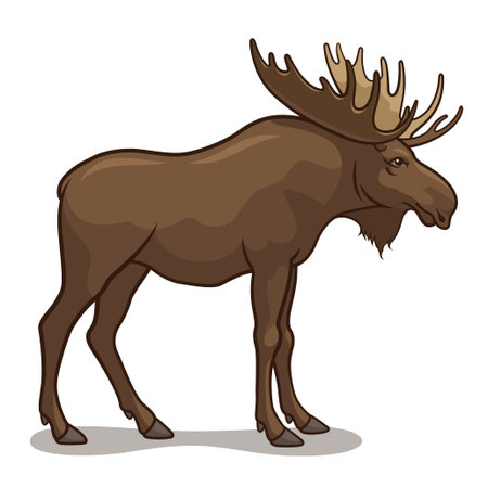 Vector illustration of a moose, isolated on a white backgroundのイラスト素材