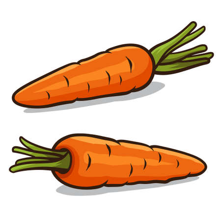 Carrot illustration isolated on a white backgroundのイラスト素材