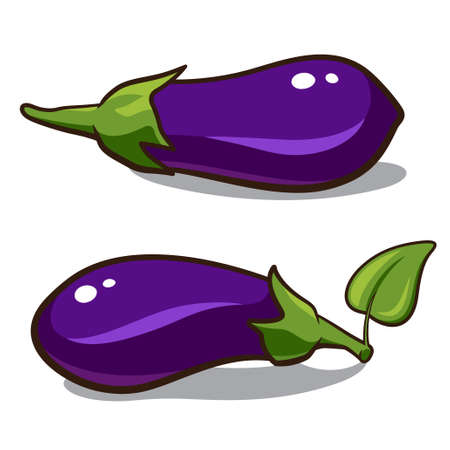 Eggplants illustration isolated on a white backgroundのイラスト素材