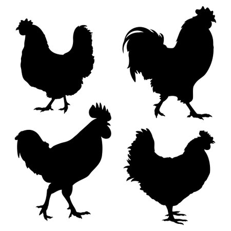 Silhouettes of chickens and roosters isolated on whiteのイラスト素材