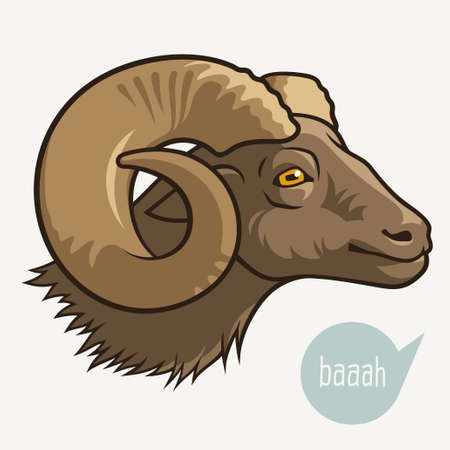 Head of goat or ram. Vector illustration for your designのイラスト素材