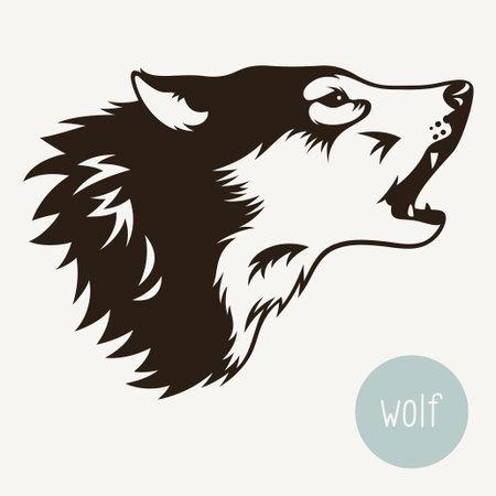 Vector illustration of wolf isolated on white