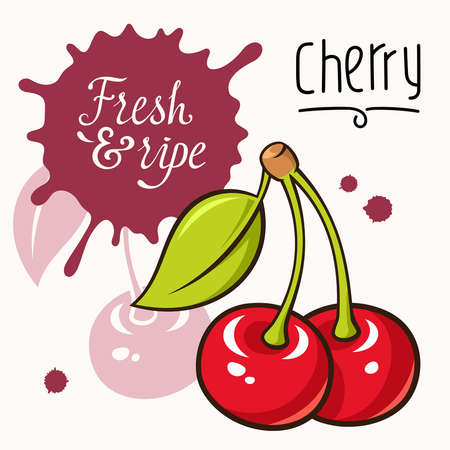 illustration of ripe juicy cherry. Concept for a Farmers Market. Idea for the label design. Organic, local grown productsのイラスト素材
