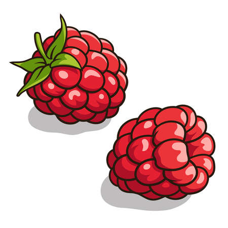 illustration of fresh, ripe raspberries isolated on whiteのイラスト素材