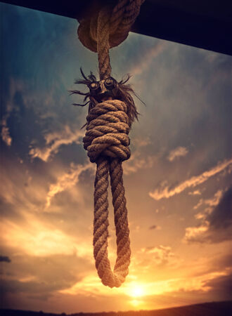 sunset loopの写真素材