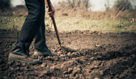 farmer working on a farmland at springの写真素材