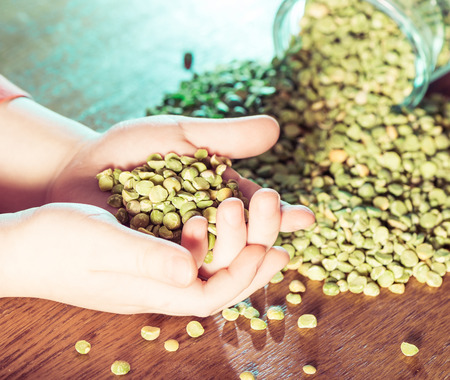 peas scattered from jar in open child palmsの写真素材
