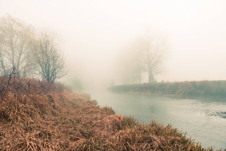 foggy fall riverside at fall morningの写真素材