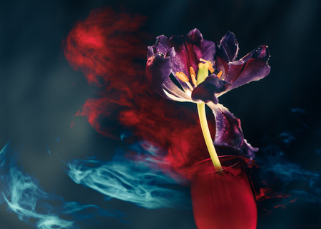 flower bud at abstract background