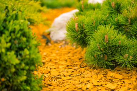 colorful garden ground decoration