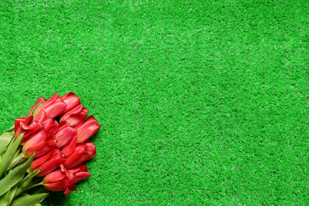 Bouquet of beautiful red tulips on spring green grass lawn background with copy space. Holiday,...