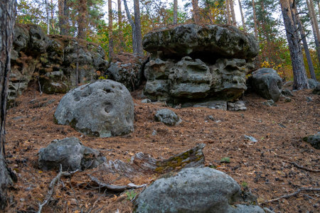 Eroded Sedimentary Rock Formation in an Autumn Forest near Samara (Russia)の写真素材