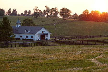 Sunset on a farm