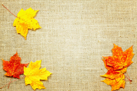 Fall-themed background of burlap and colorful leaves