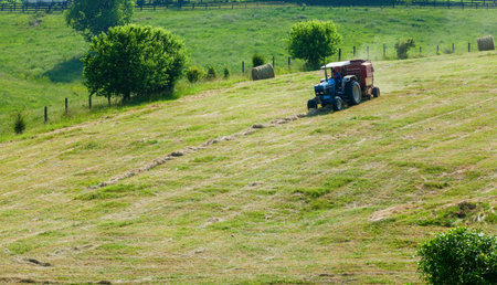 Bailing hayの写真素材