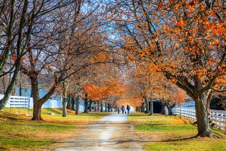 Walk in the park